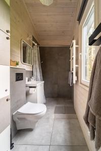 łazienka z toaletą, umywalką i oknem w obiekcie Sosnowy Raj domki nad Wkrą w mieście Popielżyn Dolny