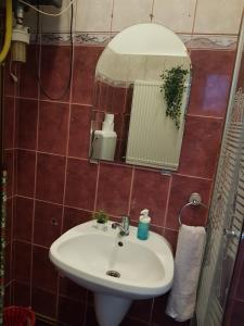 Afbeelding uit fotogalerij van Apartament JOSEFIN in Timişoara