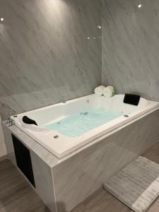 帕丘卡德索托Hotel Blanco Pachuca的相册照片