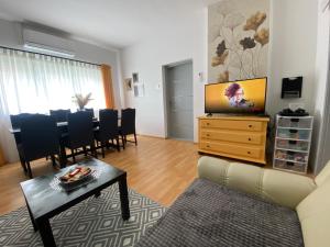 TV a/nebo společenská místnost v ubytování Apartment and rooms EL