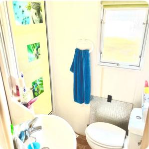 a bathroom with a toilet and a sink at Cosy Mobilhome in La Baule