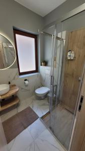 a bathroom with a shower and a toilet and a window at Clar studio 1 in Braşov