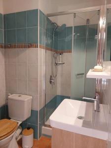 ein Badezimmer mit Toilette, Waschbecken und Dusche in der Unterkunft Location de vacances Bord'O in San-Nicolao + 12 Fotos