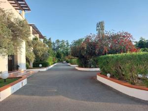 eine leere Straße mit Büschen und Bäumen und einem Gebäude in der Unterkunft Location de vacances Bord'O in San-Nicolao