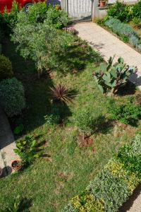 een tuin met een aantal planten en een stoep bij Apartments Vukalovic in Medulin
