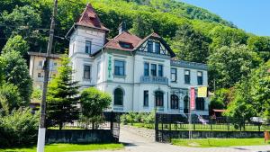 una gran casa blanca con una torre en una colina en Vila Themis, en Călimăneşti
