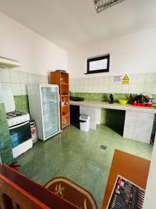 a kitchen with a stove and a refrigerator at Vila Themis in Călimăneşti