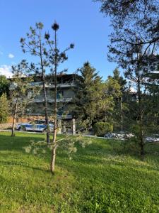 ein Baum auf einem Feld vor einem Gebäude in der Unterkunft Dim's Hotel & Restaurant in Korçë