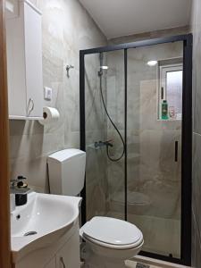 a bathroom with a shower and a toilet and a sink at Apartmani Lena in Plužine +23 photos