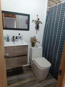 Un baño con inodoro, lavabo y espejo. en cabaña la esmeralda, en El Peñol