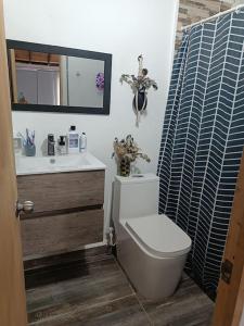 Un baño con inodoro, lavabo y espejo. en cabaña la esmeralda, en El Peñol