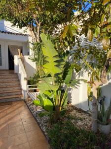 Zahrada ubytování Casa Energía del Cabo. San Jose Cabo de Gata.