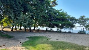 un grupo de árboles en una playa cerca del agua en Pousada Rainha do Mar, en Paraty