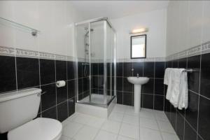 een badkamer met een toilet, een douche en een wastafel bij Luxury 2 bed fully equipped city centre apartment in Cork