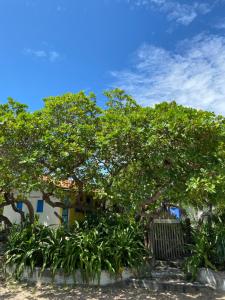 een groep bomen en planten voor een gebouw bij Casa Acquamarina in Atins