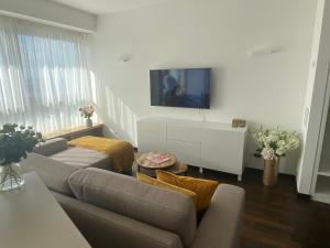 科隆Luxurious apartment in high class building Kranhaus in Cologne的客厅里有一张沙发，墙上有一台电视