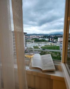 un verre de vin et un livre sur un rebord de fenêtre dans l'établissement Apartman MK, à Lukavica