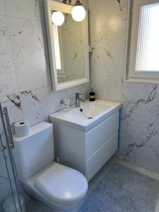 a bathroom with a sink and a toilet and a mirror at Apartment Laura in Wilderswil