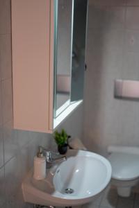 a bathroom with a sink and a mirror and a toilet at S.A.W. Rooms in Schiefling am See