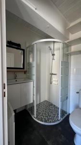梅里尼亚克La petite Maison Mérignac jardin privé的带淋浴、水槽和马桶的浴室