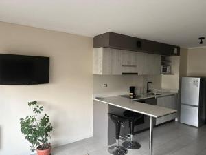 a kitchen with a counter and a sink and a refrigerator at Departamento Estudio, entero in Temuco