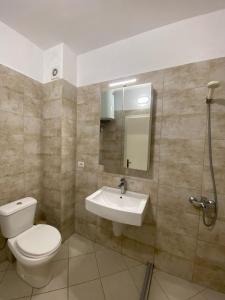 a bathroom with a toilet and a sink at Alvi Apartment 1 in Sarandë