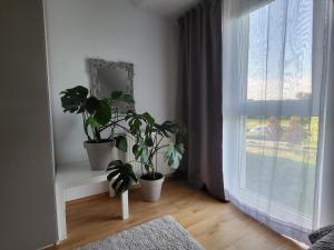 Jana Vienna Airport Apartment في سخويشات: غرفة بها اثنين من النباتات الفخارية ونافذة