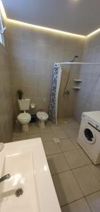 a bathroom with a toilet sink and a washing machine at Casa de Campo Establecimiento La Leticia in Rafaela