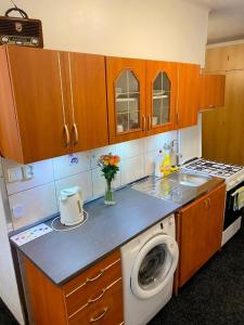 uma cozinha com pia e máquina de lavar em Apartmán BERLIN em Chodov
