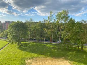 an empty park with trees in the grass at Apartmán BERLIN in Chodov