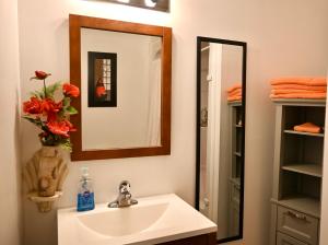a bathroom with a sink and a mirror at Centennial Suite in Niagara Falls