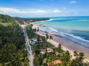 an aerial view of a beach with palm trees and the ocean at Villa Beija-Flor2: Suíte alexa e piscina privativa in Japaratinga