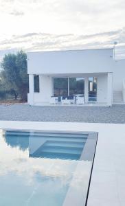 The swimming pool at or close to Olive trees house