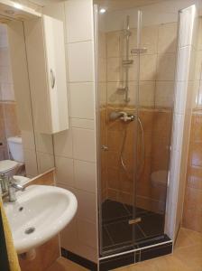 um chuveiro com uma porta de vidro ao lado de um lavatório em MAT ubytování em Ostrava