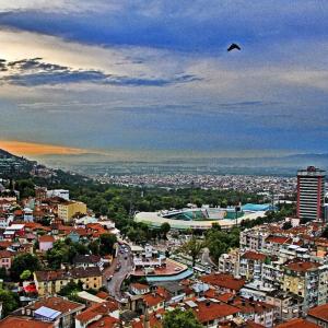 a bird flying in the sky over a city at URAZ SuiT in Bursa