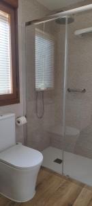 een badkamer met een toilet en een glazen douche bij MONTESCLAROS Apartamento de 2 dormitorios in Cerceda
