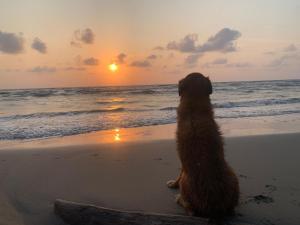 Afbeelding uit fotogalerij van EL ABRAZO in Punta de Piedra +22 foto's