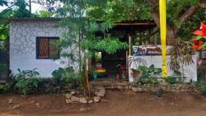a small white house with a tree at LA PIRATA Casa Hostel in Palomino