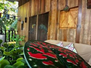 Κήπος έξω από το Hostel Rústico MarAbi