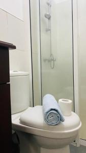 a bathroom with a toilet with a shower and a towel at The View at Glenloch - Home Stay in Tawalantenna