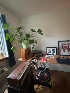 una sala de estar con una mesa con una planta en 4 Peeps Charm Apartament in Williamsburg Brooklyn NYC, en Union City