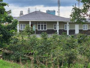 una casa blanca con árboles delante de ella en Porlak Hebron Family Homestay en Siborongborong
