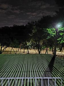 a green field with trees and a street light at Quarto Proença in Campinas
