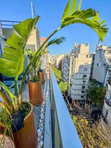 un balcón con plantas en macetas en una cornisa en Foster Recoleta en Buenos Aires