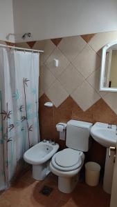 ein Bad mit einem WC und einem Waschbecken in der Unterkunft Hotel LasNegritas in San Agustín de Valle Fértil