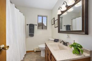 ein Badezimmer mit Waschbecken, Toilette und Spiegel in der Unterkunft 2 Bella Vista Cottages near Cannonsburg w Parking in Rockford + 20 Fotos