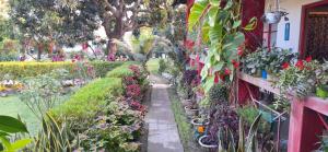 Zahrada ubytování Atmaja The Cottage Garden Under Tourism Department Government of West Bengal