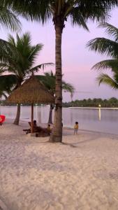 a group of people sitting under palm trees on a beach at Lahomestay 1PN Tiện Nghi Được Khách Yêu Thích in Gò Công