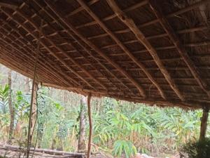 een houten dak van een gebouw in een bos bij Calvary mount Wild homes in Idukki