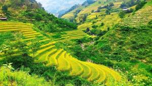 Gallery image of Tay Eco House in Nam Vong +26 photos